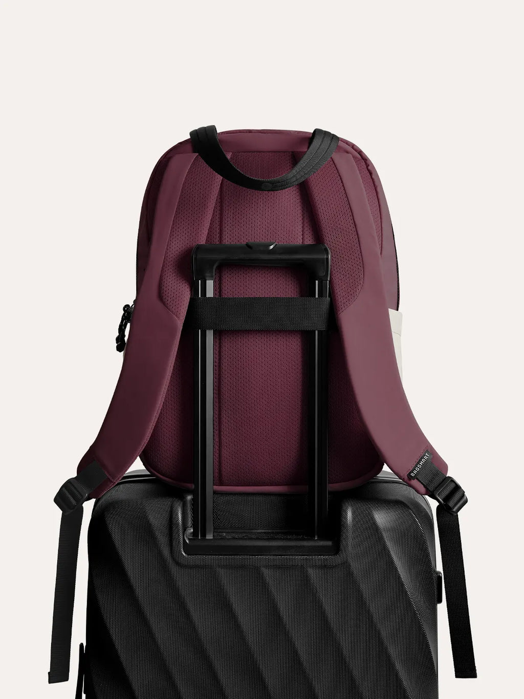 Paz 23L Backpack