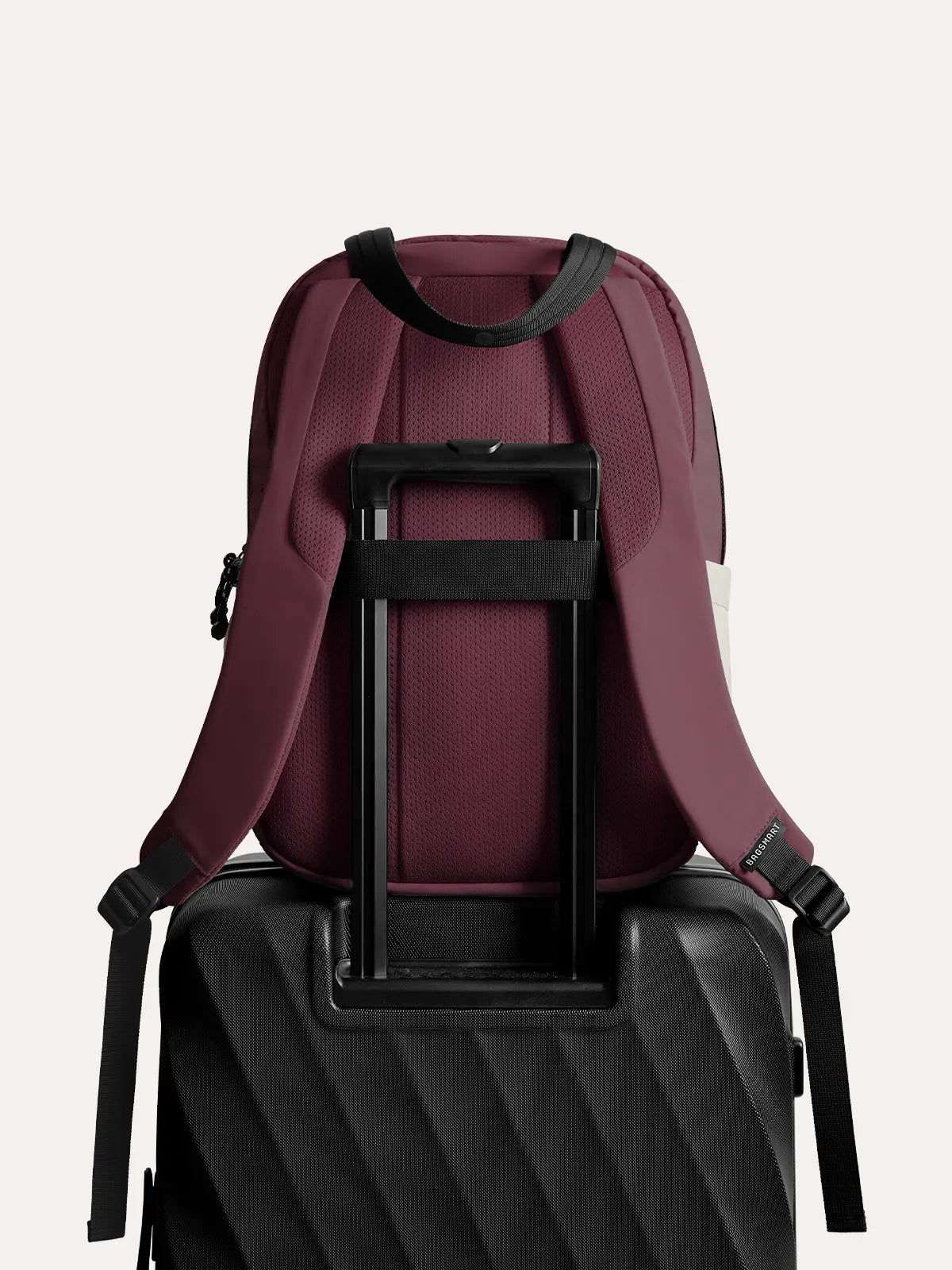 Paz 23L Backpack
