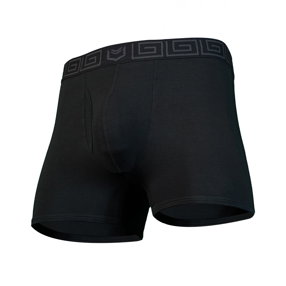 SHEATH 2.1 Bamboo Men's Pouch Trunk 3" (3 Pack)