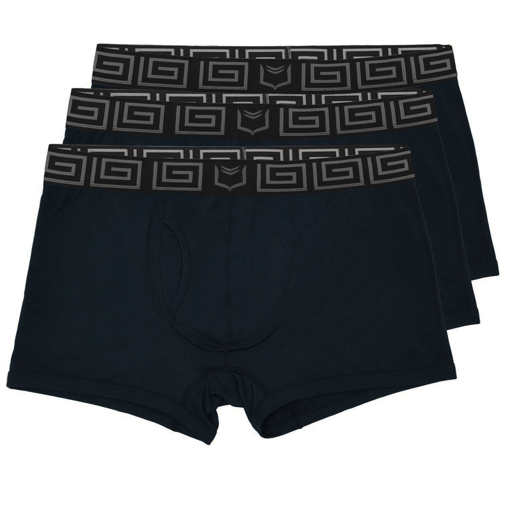 SHEATH 2.1 Bamboo Men's Pouch Trunk 3" (3 Pack)