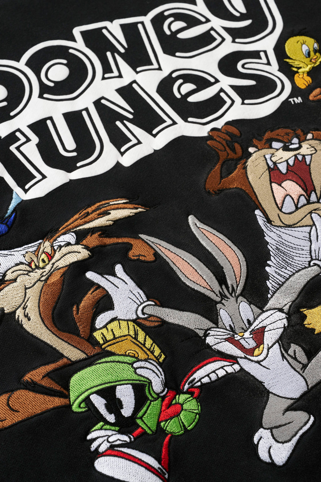 5114 - Looney Tunes Embroidered Hoodies