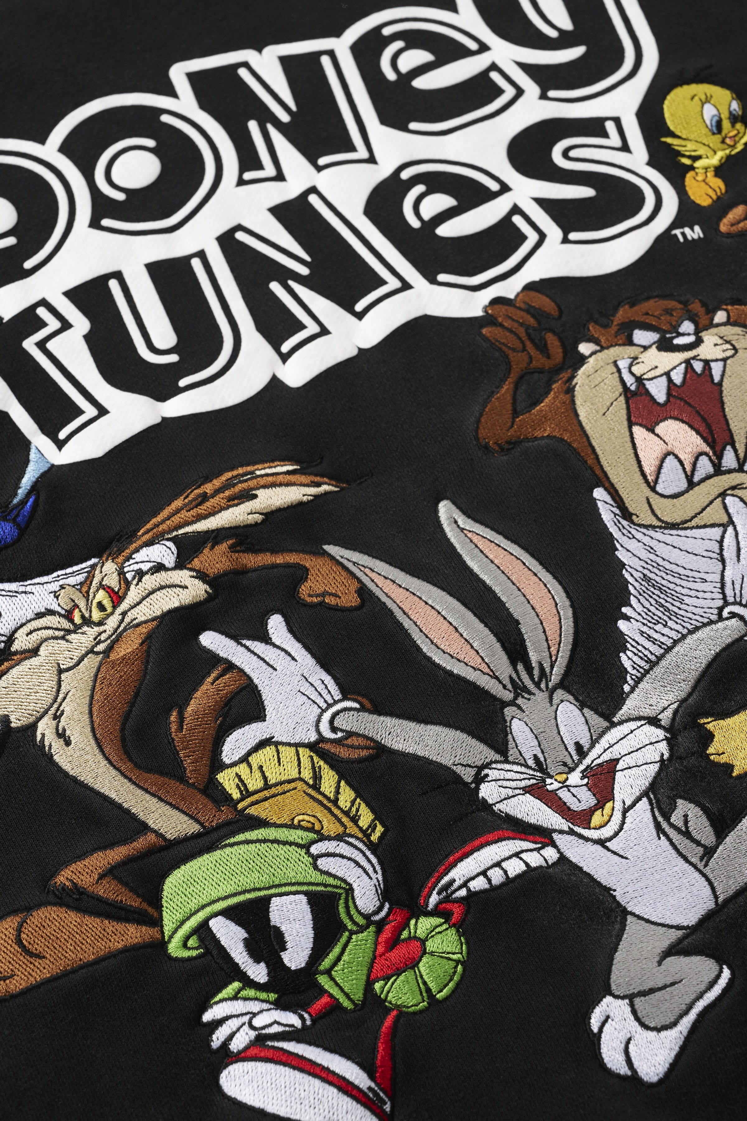 5114 - Looney Tunes Embroidered Hoodies