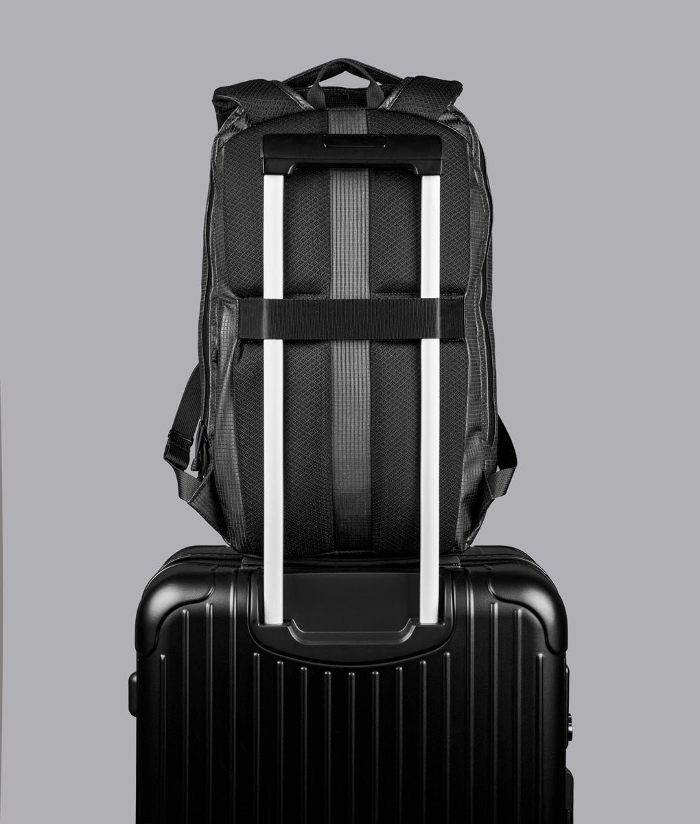 Momentum Backpack