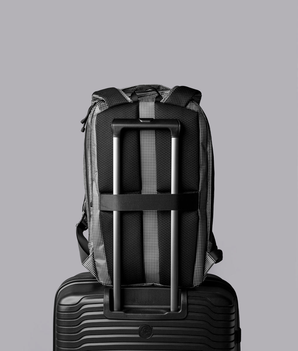 Momentum Backpack