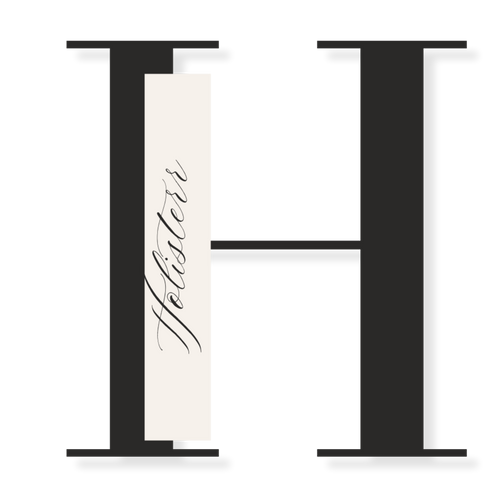 Theholister