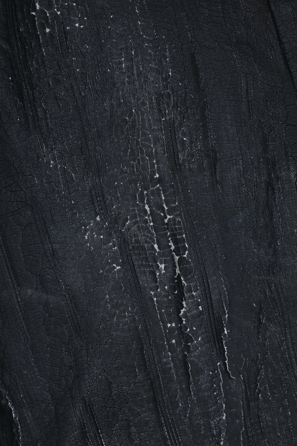 Rock Revival Moto Wax Jeans