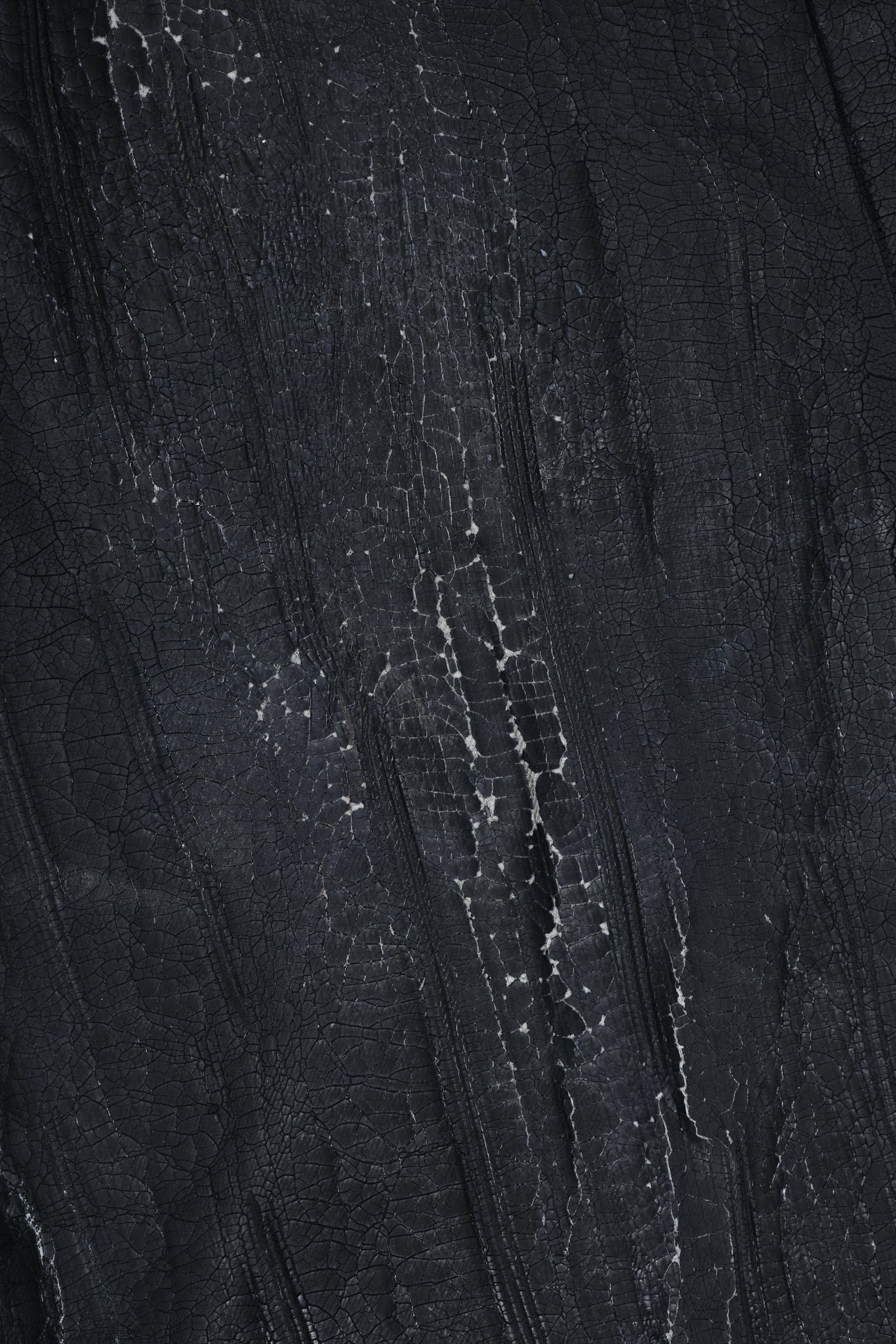 Rock Revival Moto Wax Jeans