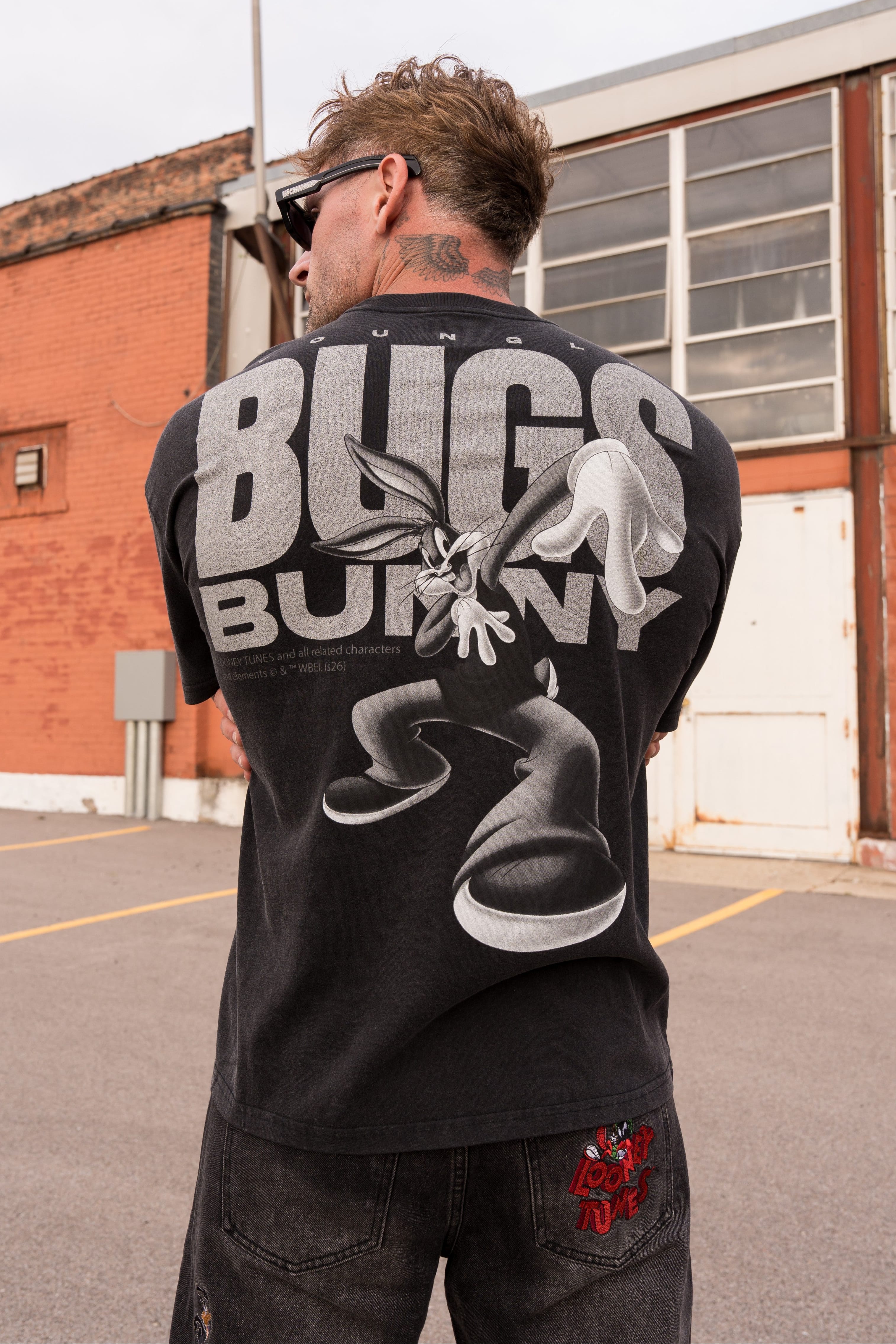 4291 - Looney Tunes Vintage Tees