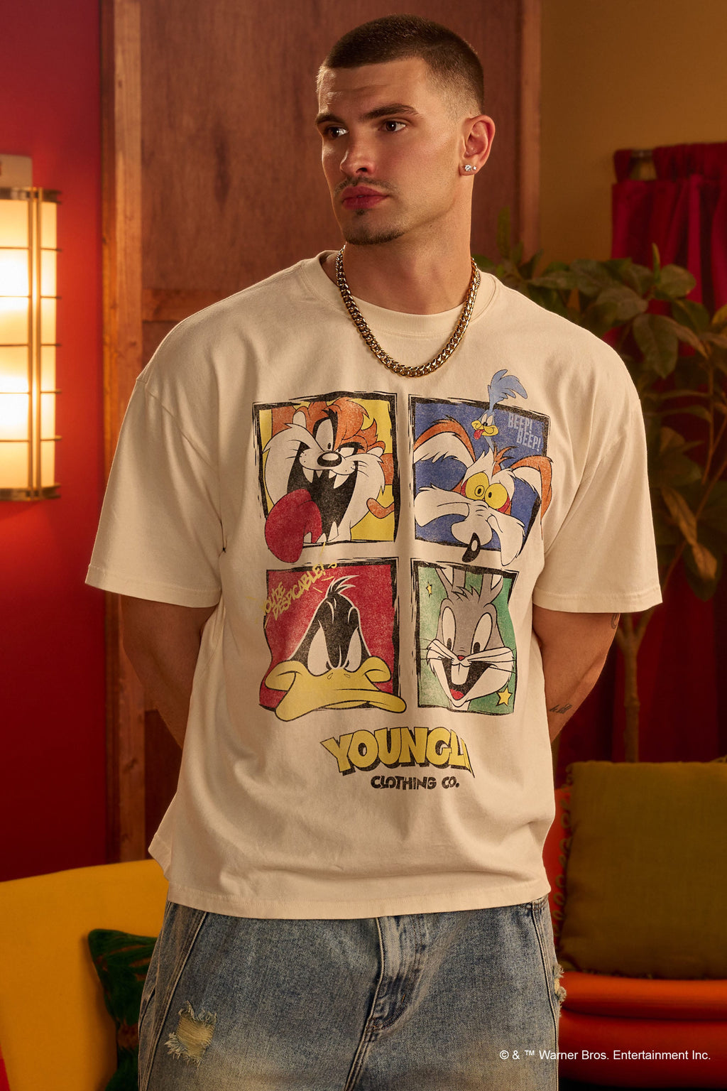 4291 - Looney Tunes Vintage Tees