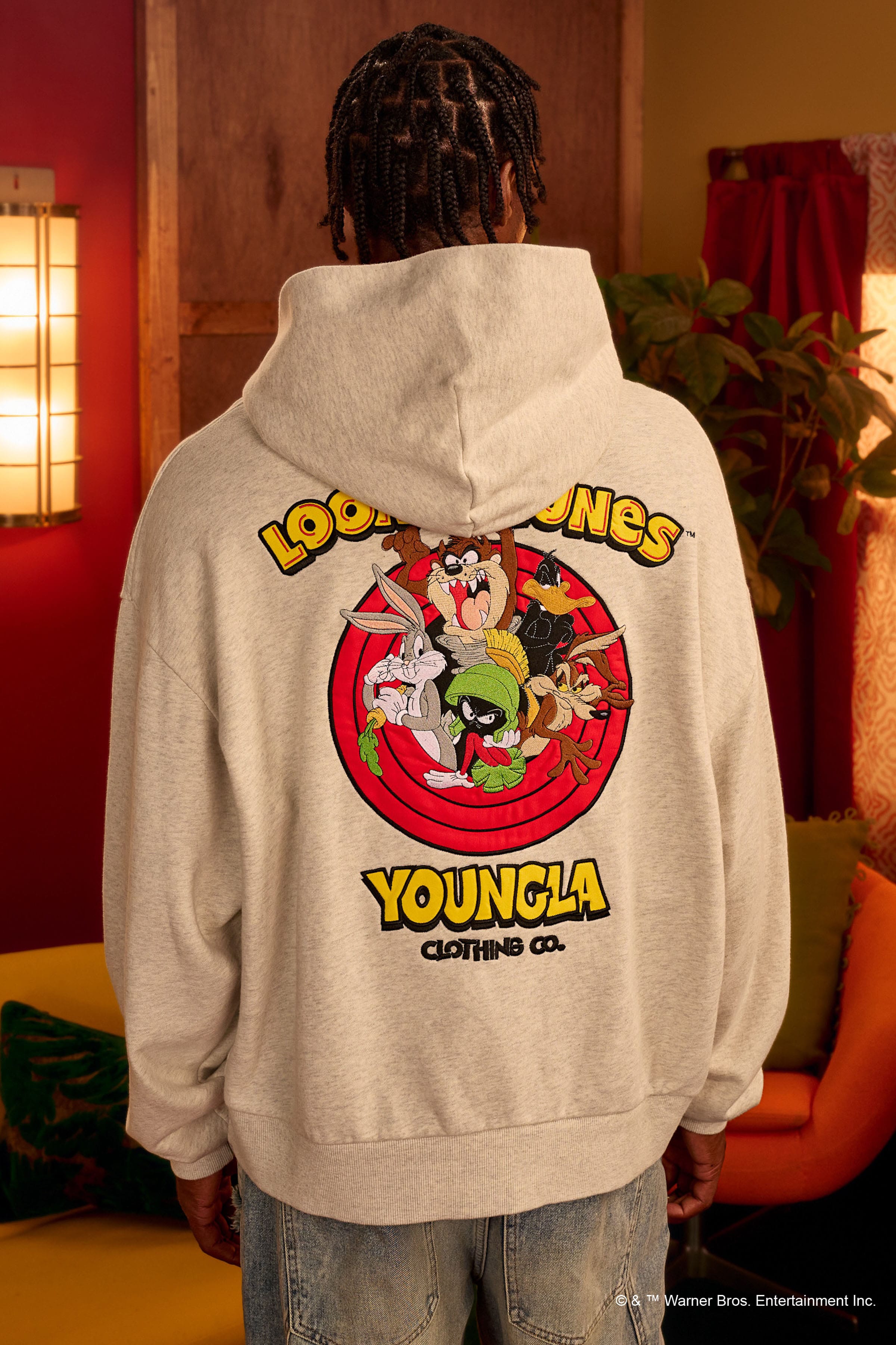 5114 - Looney Tunes Embroidered Hoodies