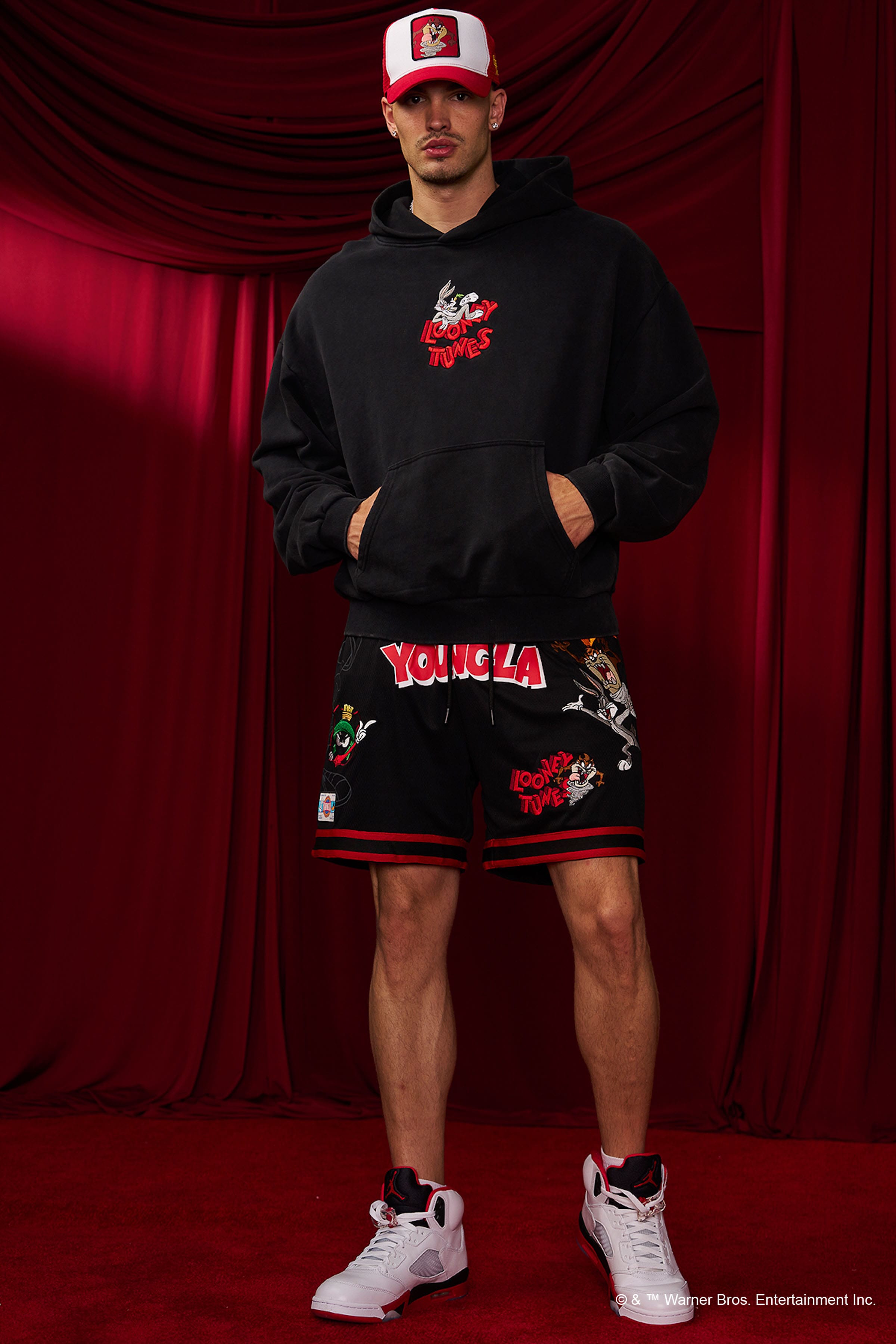 5114 - Looney Tunes Embroidered Hoodies