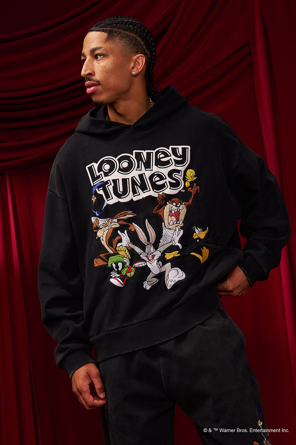 5114 - Looney Tunes Embroidered Hoodies