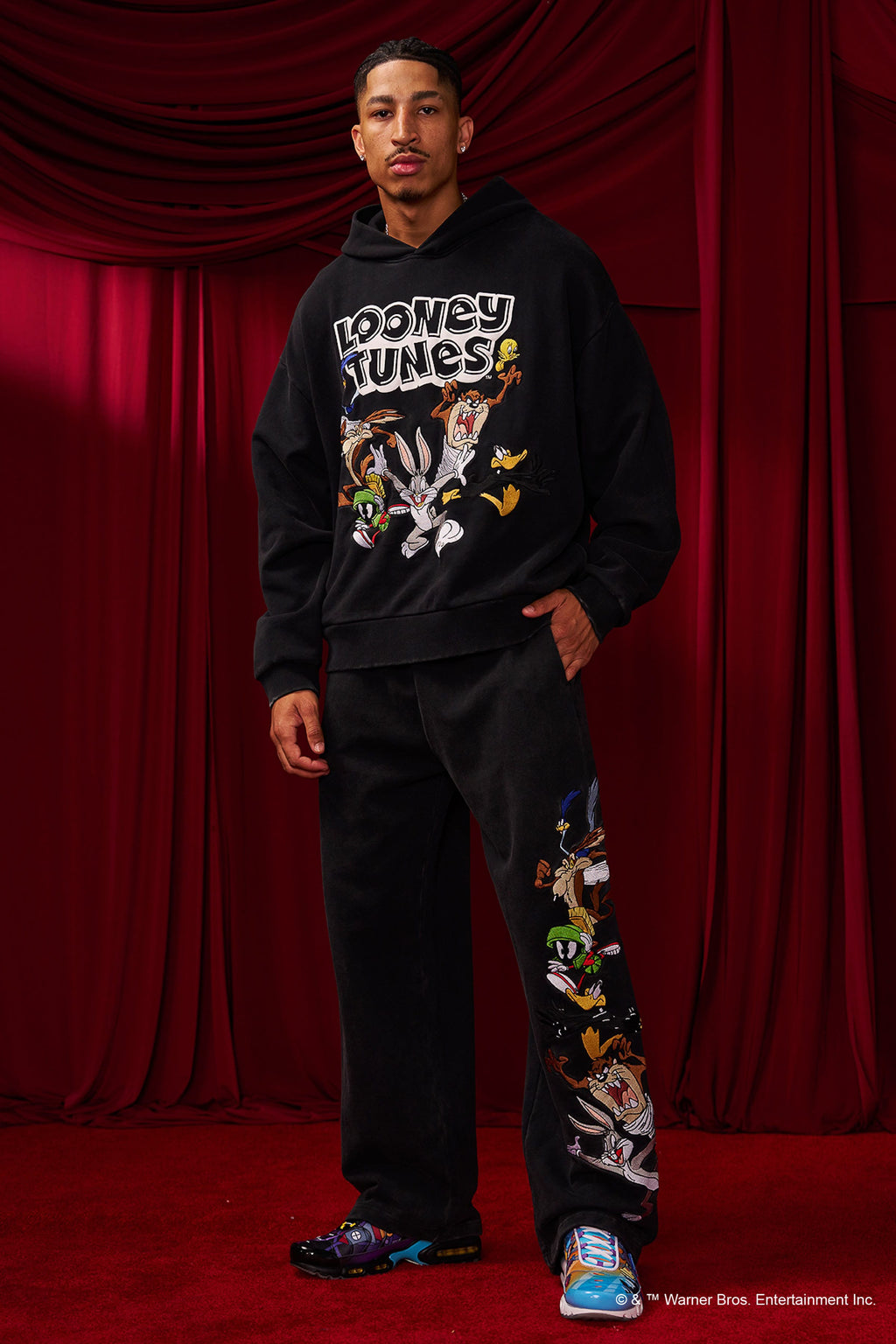5114 - Looney Tunes Embroidered Hoodies