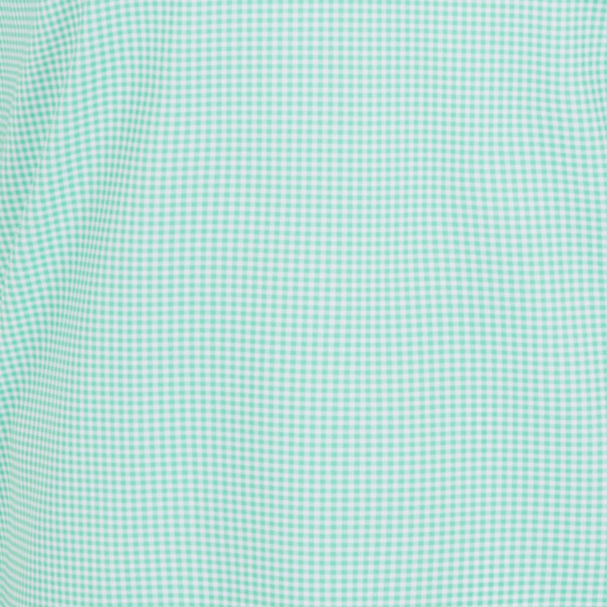 Featherweight Flex Polo Green Gingham